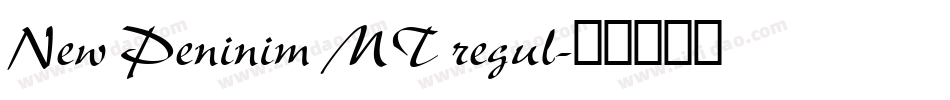 New Peninim MT regul字体转换